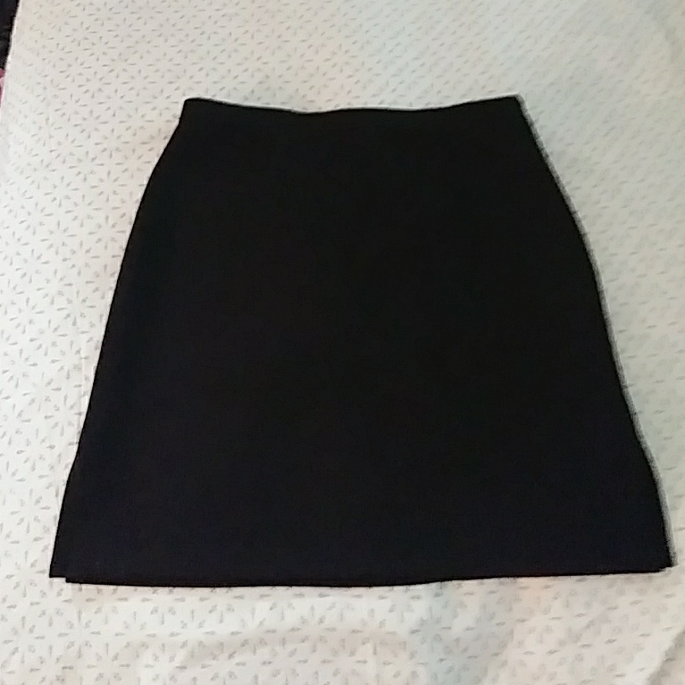 Express Skirt